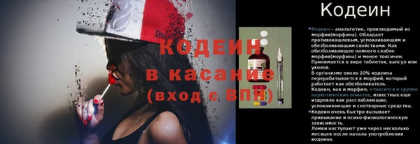ешки Аркадак