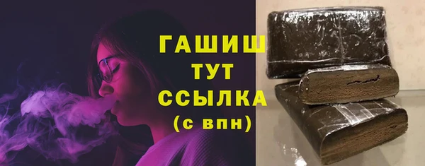 стаф Арсеньев