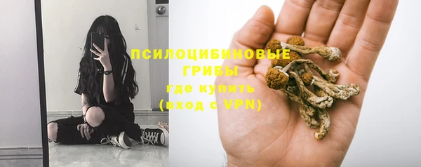 ешки Аркадак