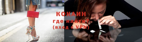 ешки Аркадак