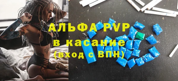 ешки Аркадак