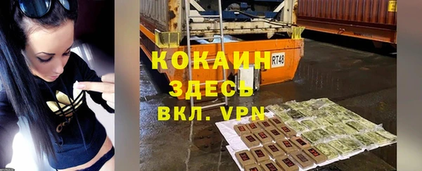 стаф Арсеньев