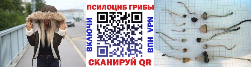 Галлюциногенные грибы мухоморы  что такое наркотик  Георгиевск 